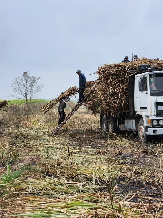 1- LA AFIP DETECTÓ EXPLOTACIÓN LABORAL Y TRABAJO INFANTIL EN CAMPOS DE SALTA