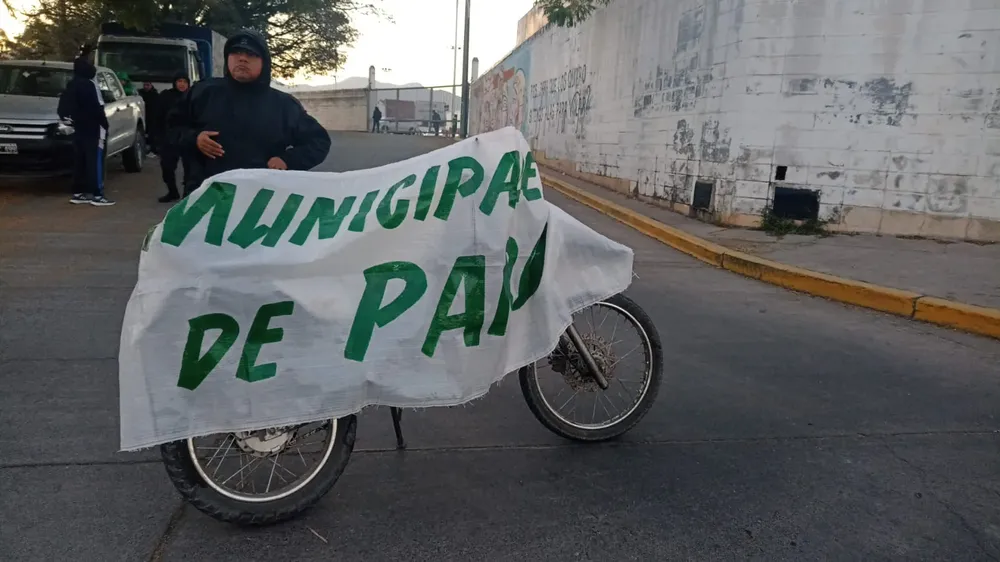 WhatsApp Image 2023-08-10 at 10.26.54