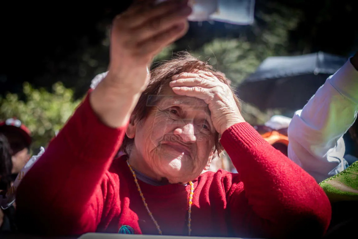 IMG_2768 (FILEminimizer)