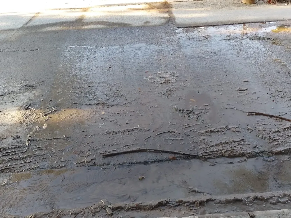 WhatsApp Image 2023-05-08 at 09.02.56