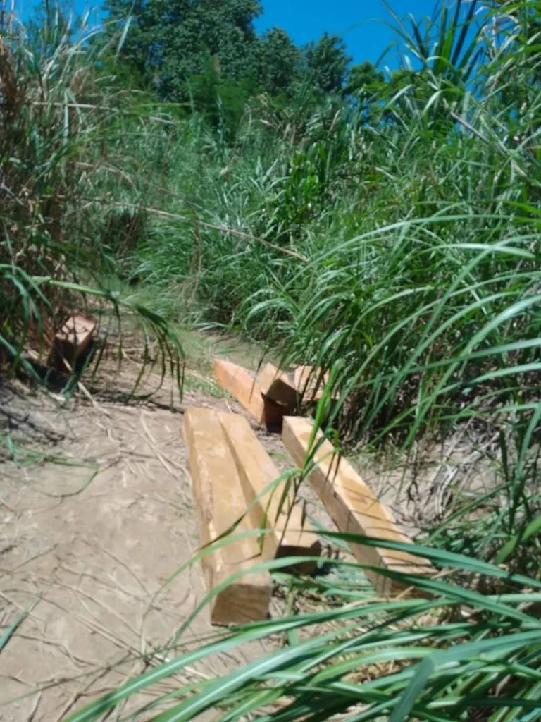 Imagen-de-WhatsApp-2023-03-17-a-las-12.18.31-768x1024