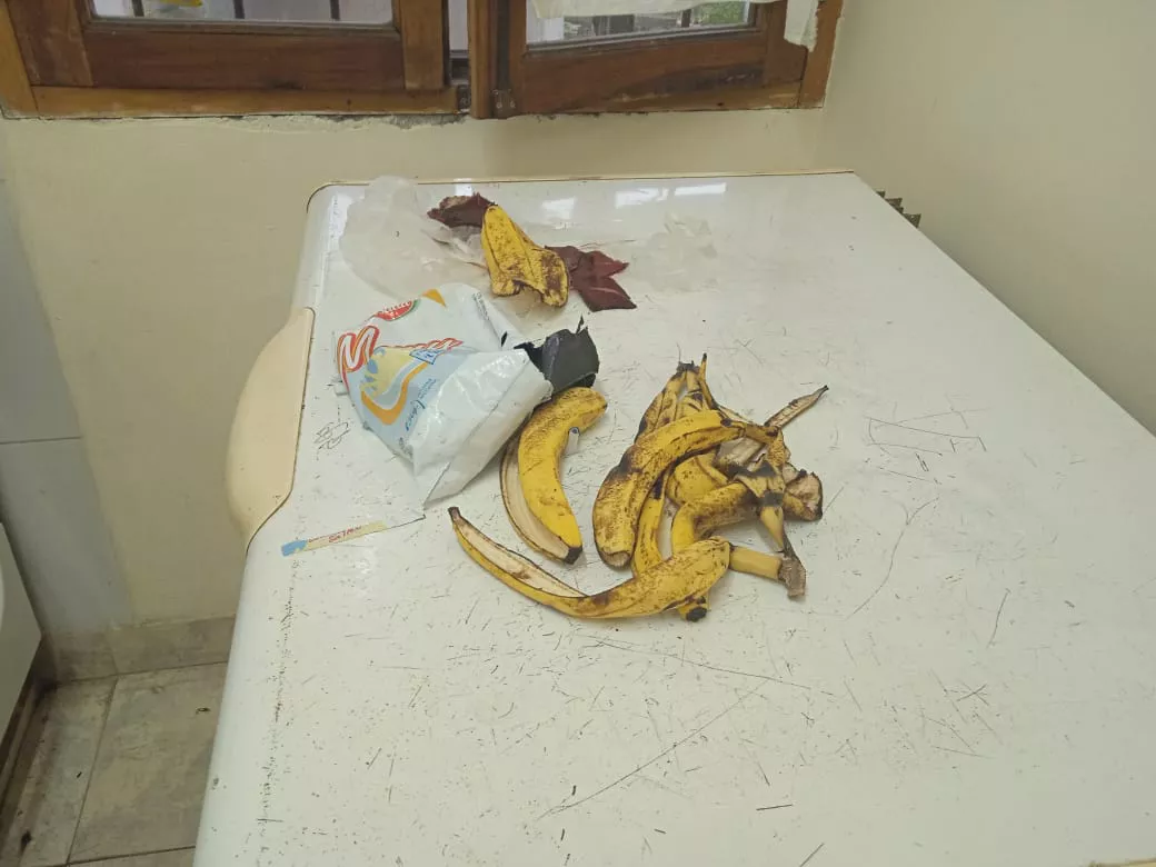 WhatsApp Image 2023-05-02 at 09.18.17 (1)