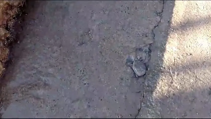 WhatsApp Image 2023-09-01 at 10.38.36