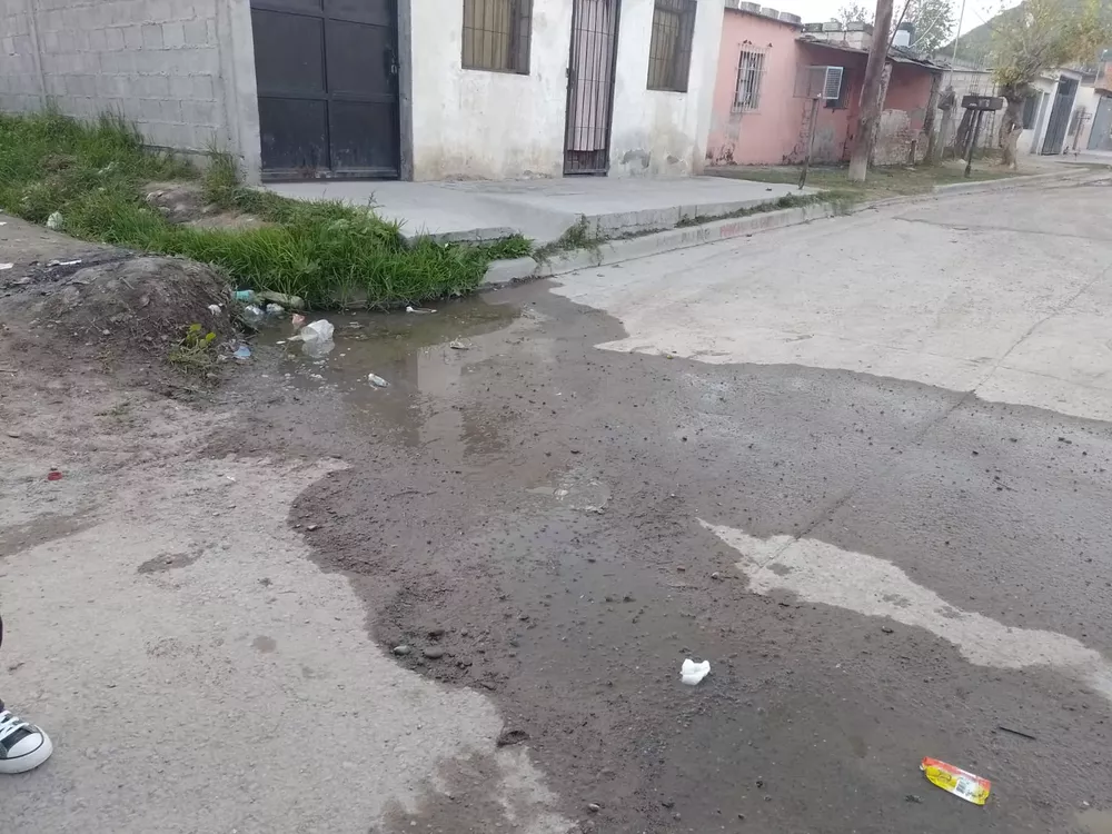 WhatsApp Image 2023-04-28 at 08.19.31