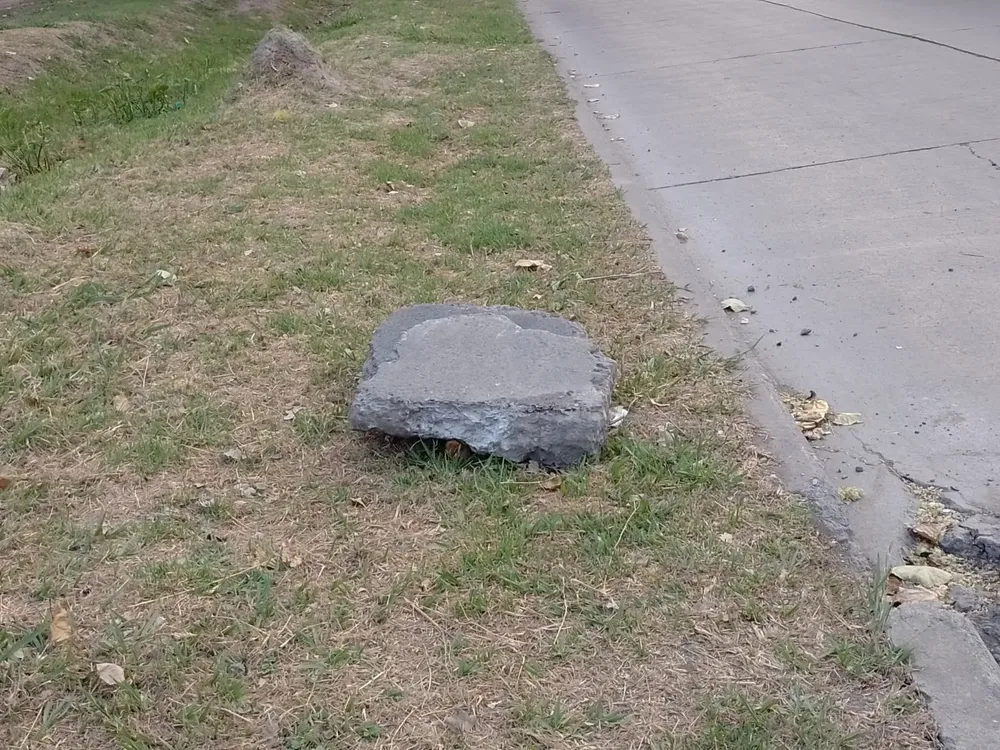 WhatsApp Image 2023-11-21 at 07.32.37