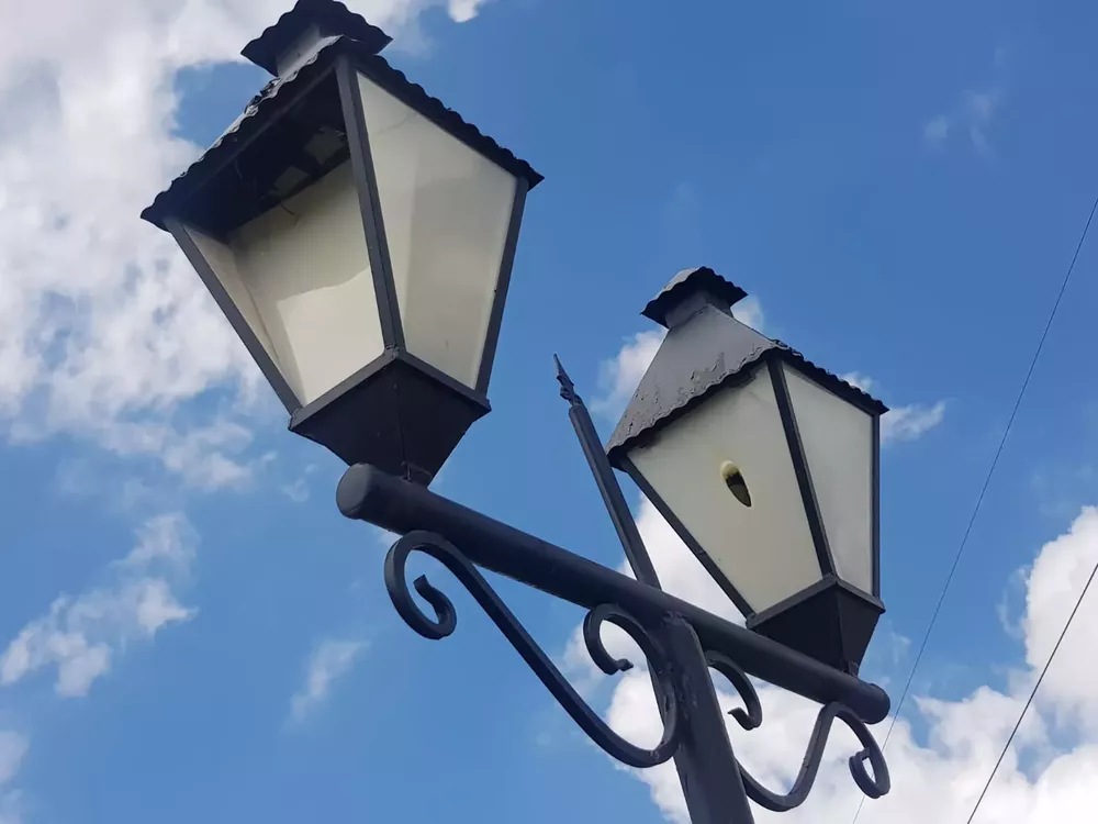 WhatsApp Image 2023-01-31 at 11.44.11 (1)