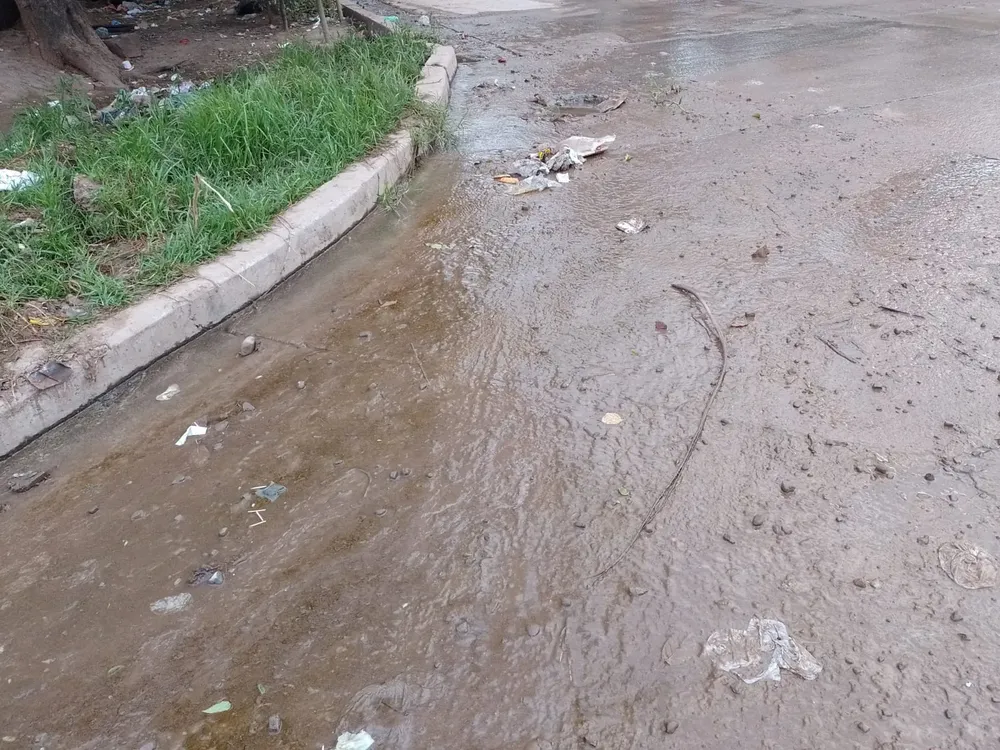 WhatsApp Image 2023-05-11 at 08.34.41 (1)