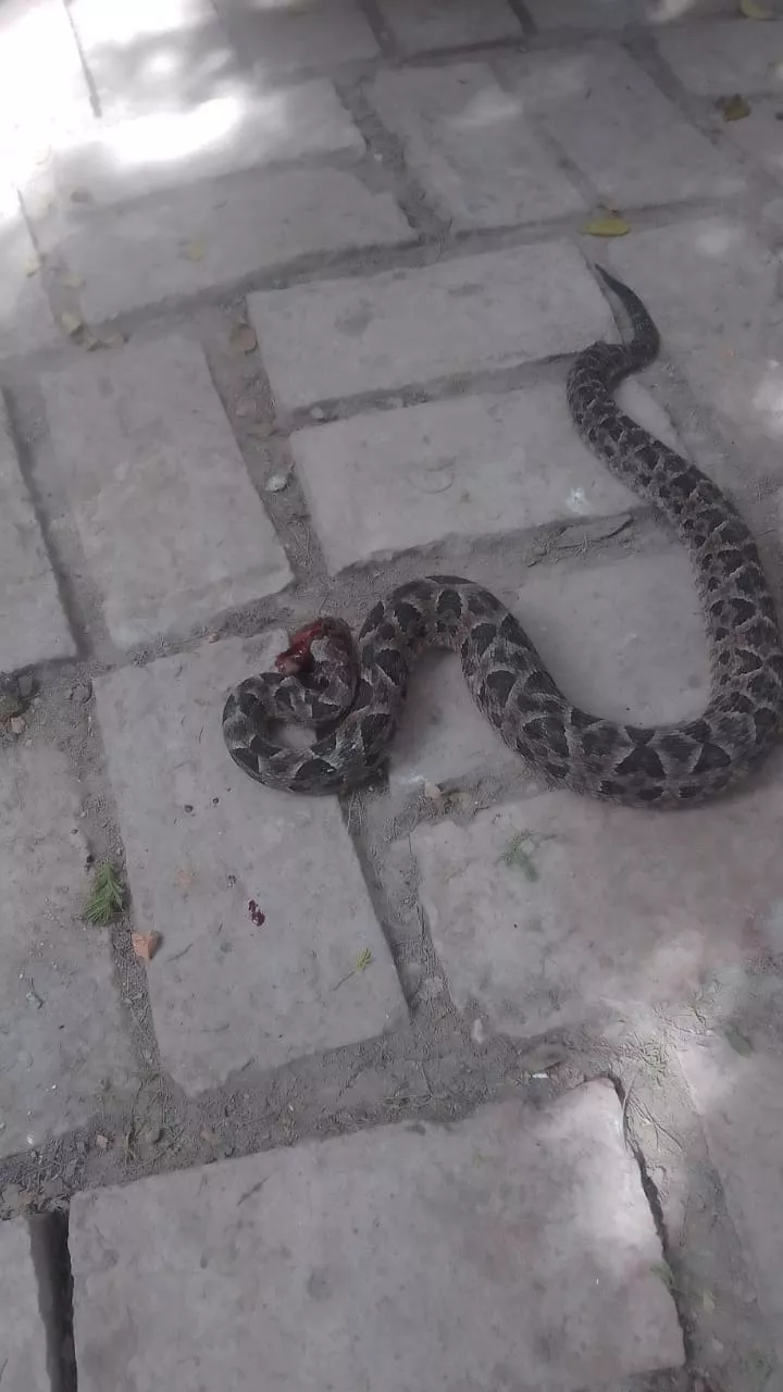 WhatsApp Image 2023-04-27 at 23.23.16