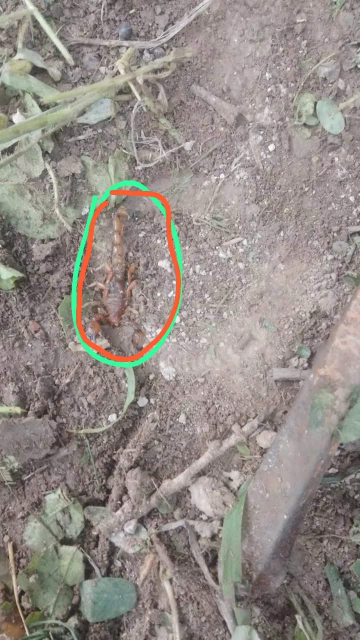 WhatsApp Image 2023-04-27 at 23.23.21