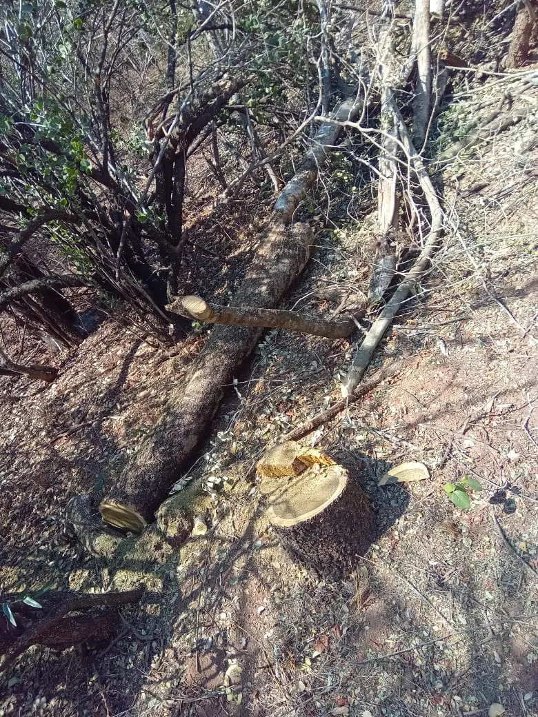 Imagen-de-WhatsApp-2023-09-03-a-las-06.24.07