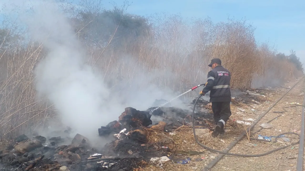 WhatsApp Image 2023-08-28 at 11.59.53