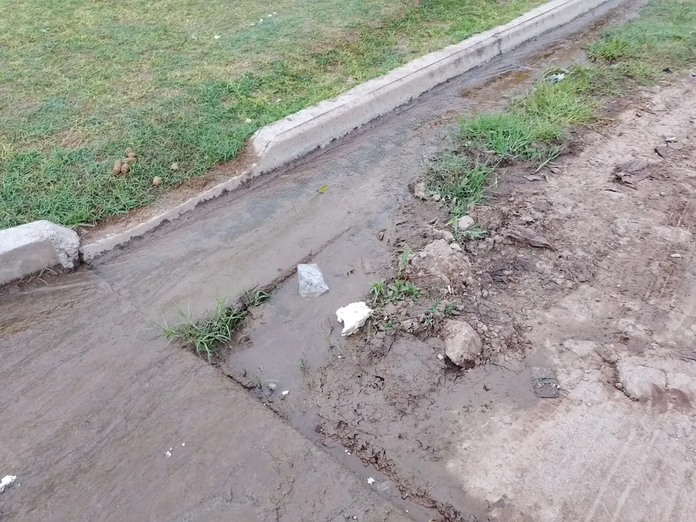 WhatsApp Image 2023-05-11 at 08.34.41