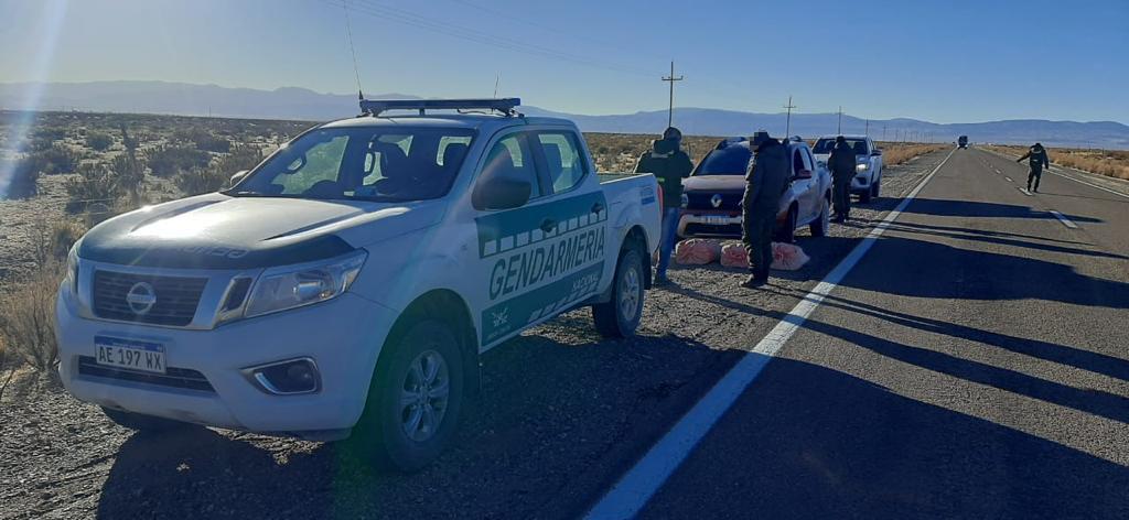 Secuestran más de 90 kilos de hojas coca trasladada en una camioneta (2)