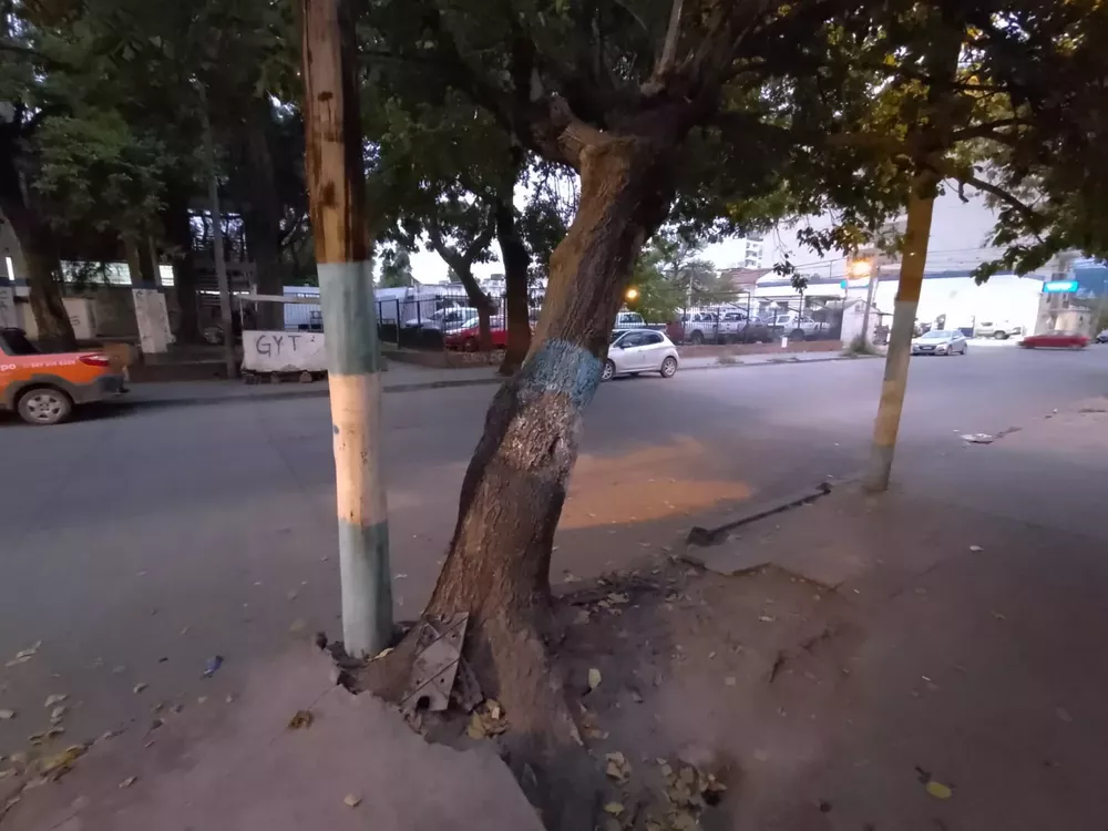 WhatsApp Image 2023-04-19 at 07.29.38