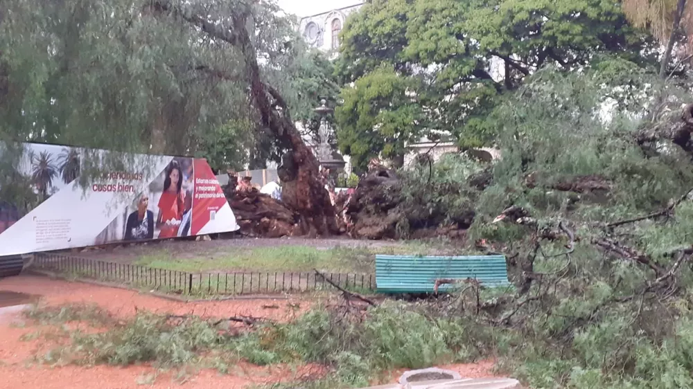 PORTADA PARA TODO SALTA (4)