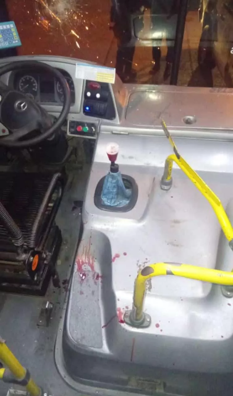 WhatsApp Image 2023-05-02 at 07.15.17