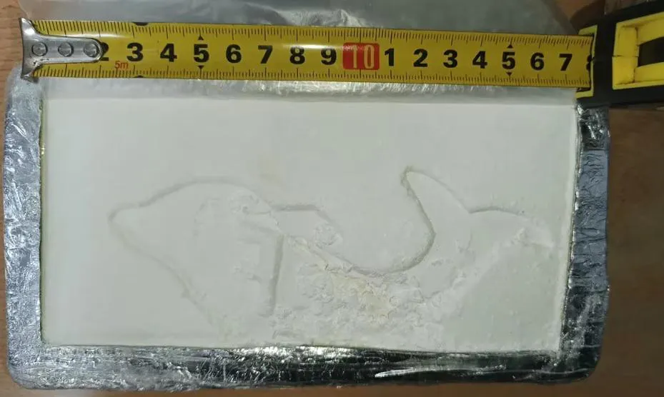 multimedia.normal.a46154a332c49f39.Y2FzdGVkbzNfbm9ybWFsLmpwZw==