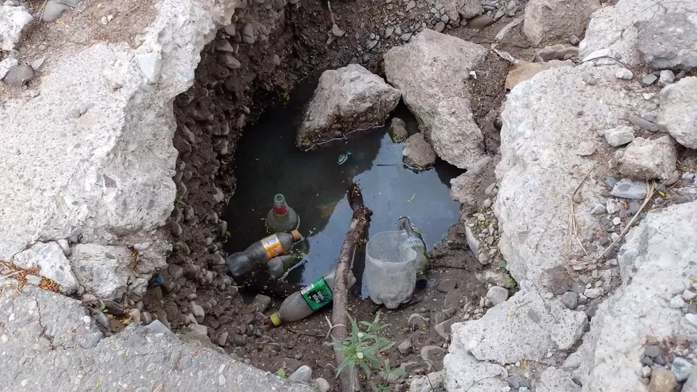 WhatsApp Image 2023-04-18 at 08.40.41