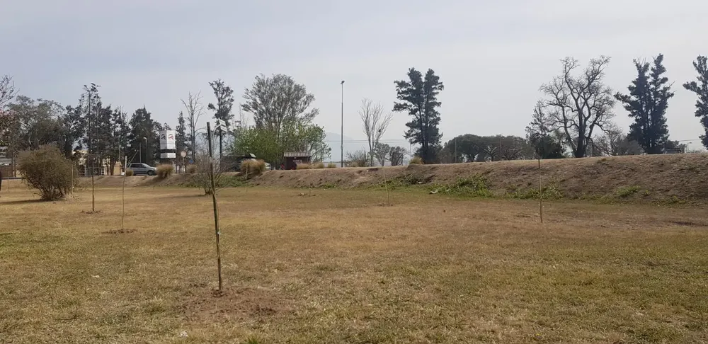 WhatsApp Image 2023-08-29 at 11.37.46