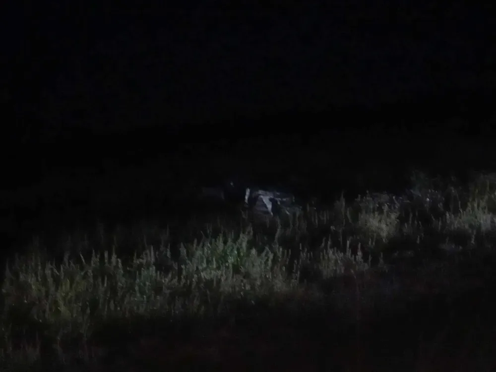 369681503_846261900217687_4187507459239974800_n