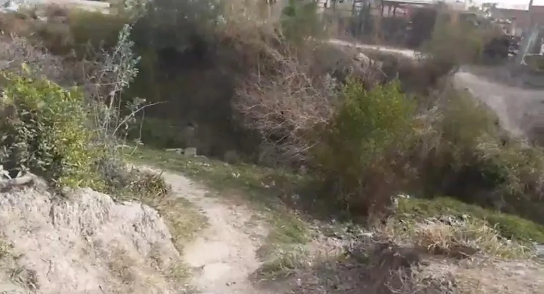 WhatsApp Image 2023-08-24 at 10.23.28