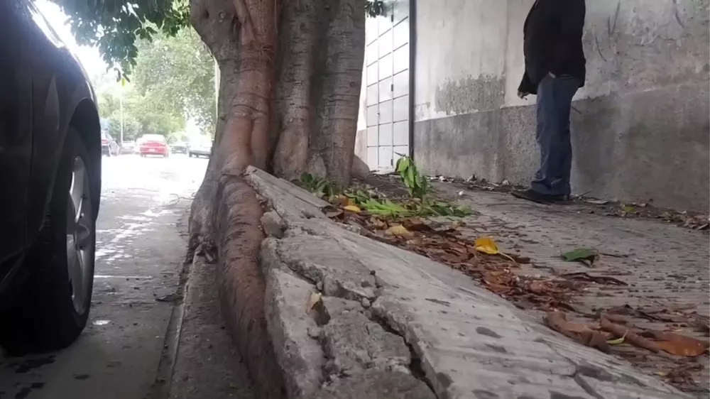 PORTADA PARA TODO SALTA (8)