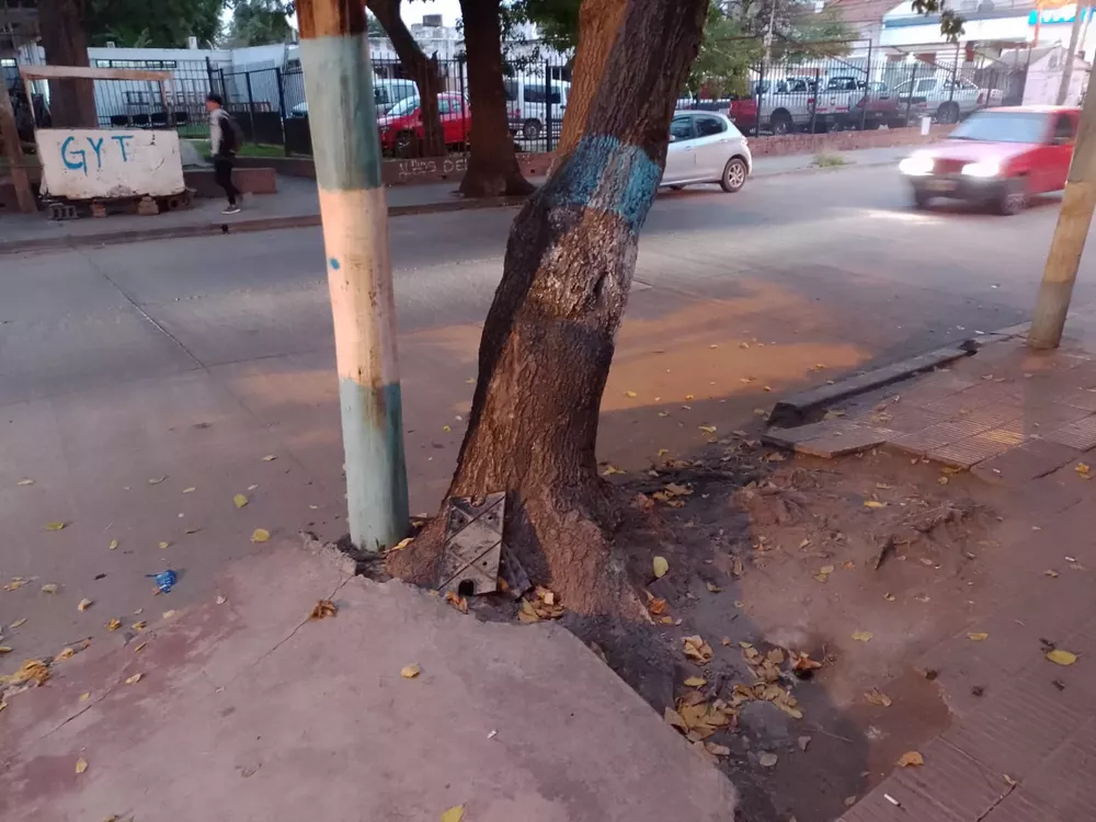 WhatsApp Image 2023-04-19 at 07.29.37