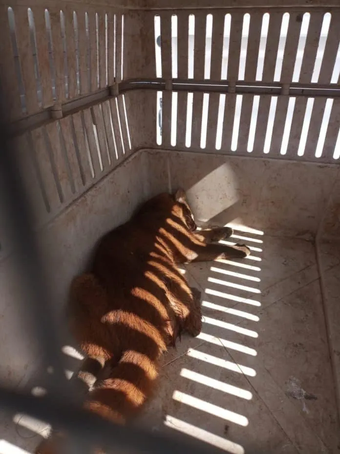 370214823_834768714686055_3368728209884517003_n