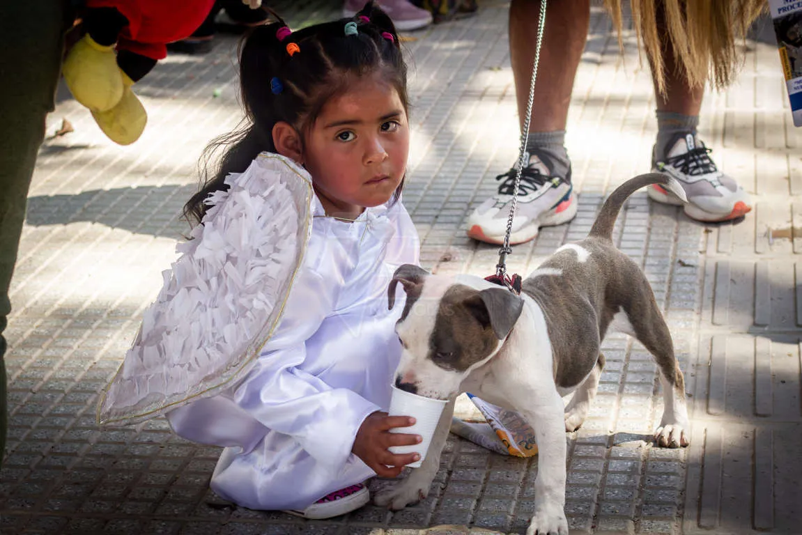 IMG_2671-Mejorado-NR (FILEminimizer)