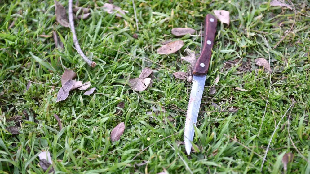 WhatsApp Image 2023-08-31 at 11.17.42