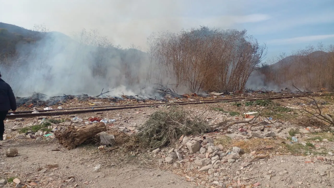 WhatsApp Image 2023-08-28 at 11.04.52