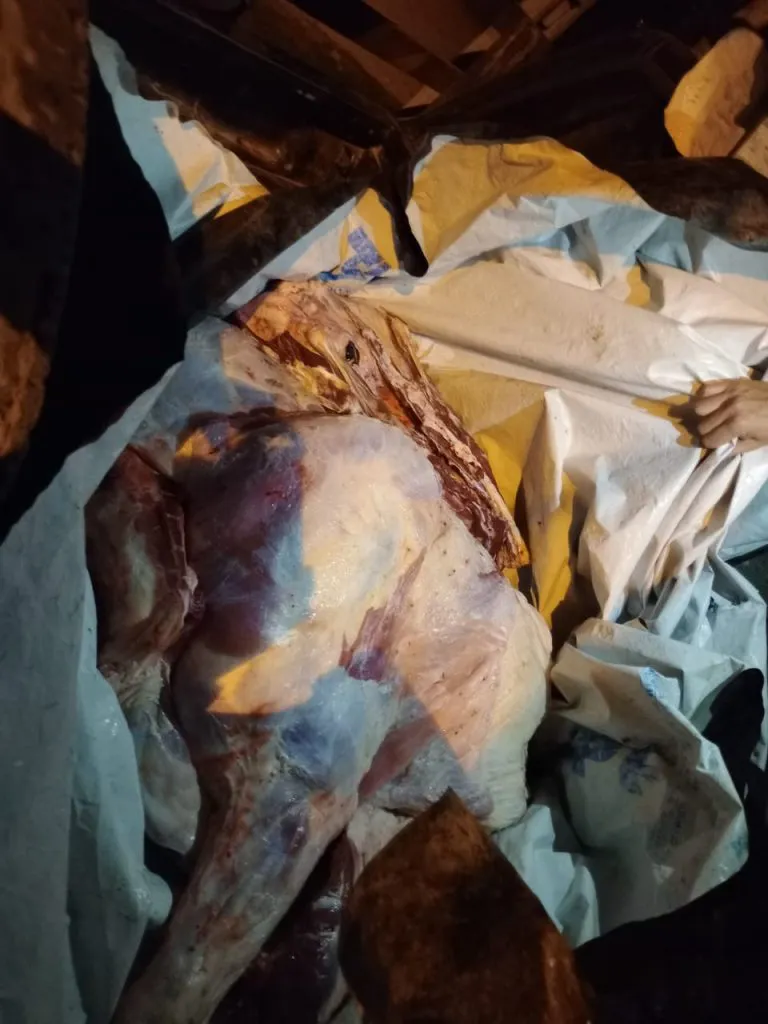 Imagen-de-WhatsApp-2023-05-18-a-las-22.15.52-768x1024