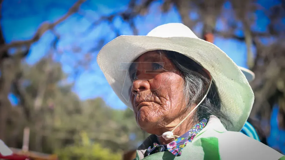 IMG_3852 (FILEminimizer)