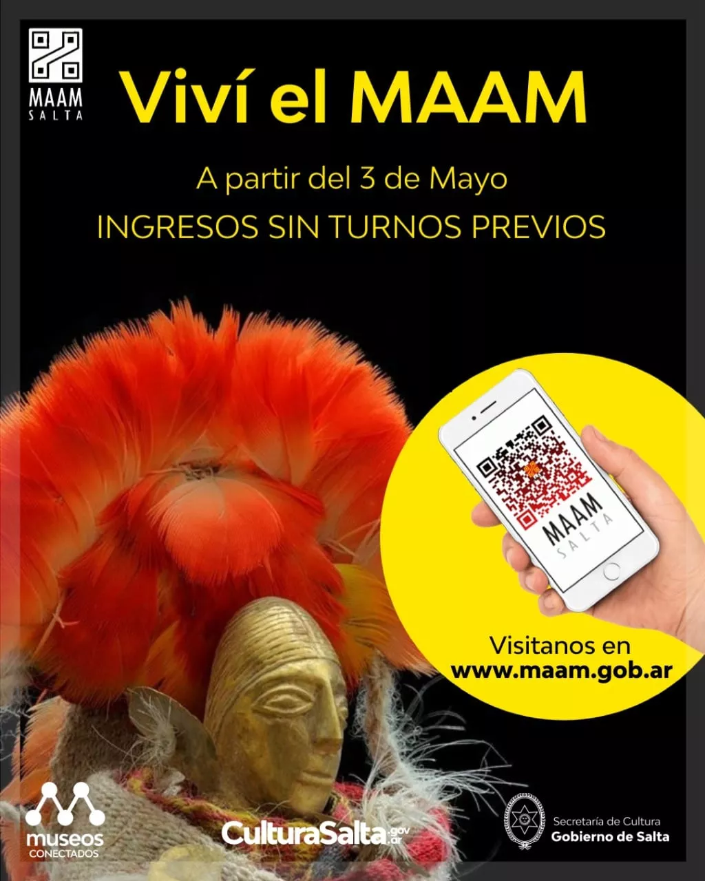 ingresos_al_maam (1)