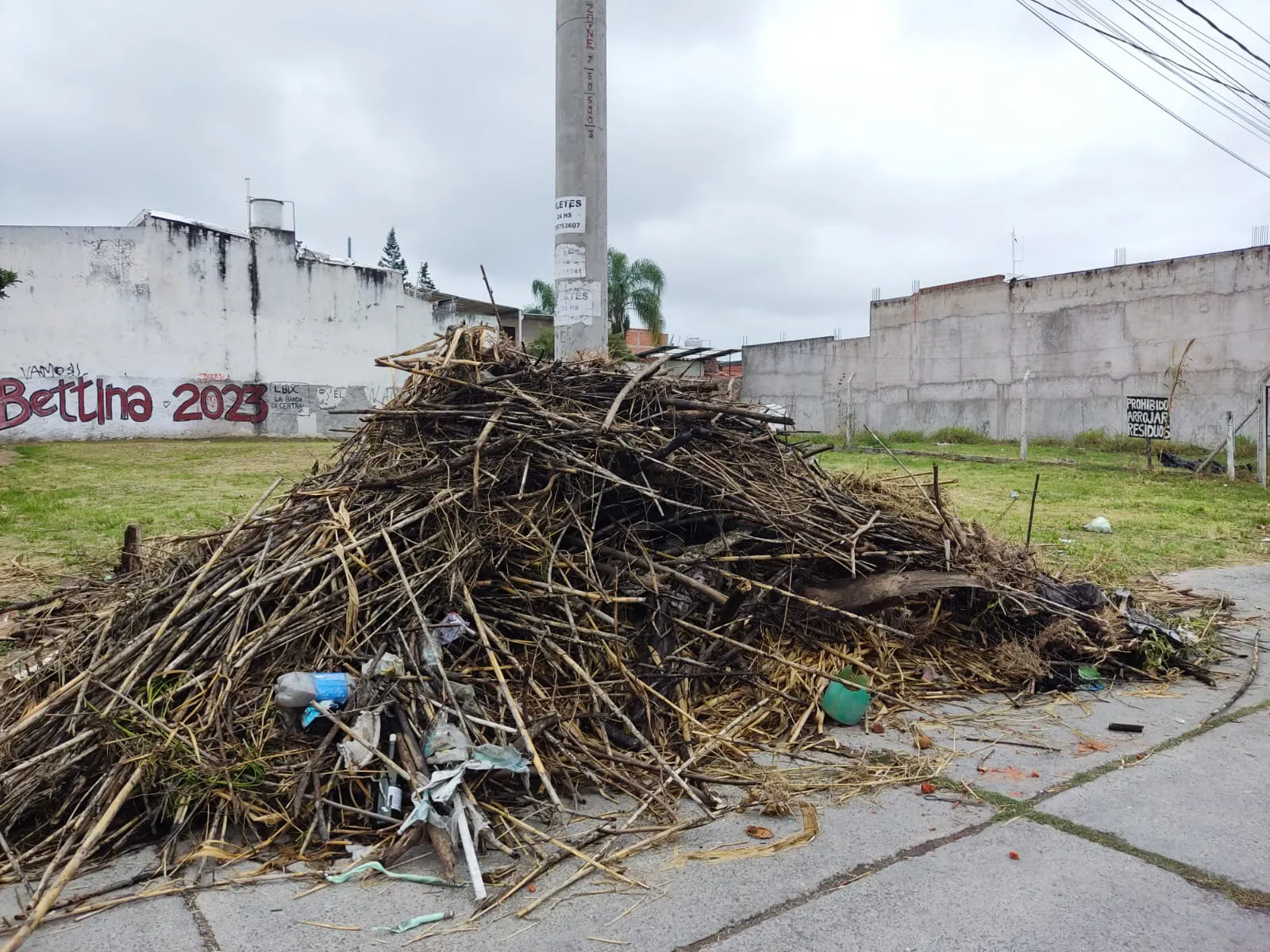 MICROBASURAL EN JUNÍN Y O'HIGGINS: UN PROBLEMA AMBIENTAL QUE NECESITA ...