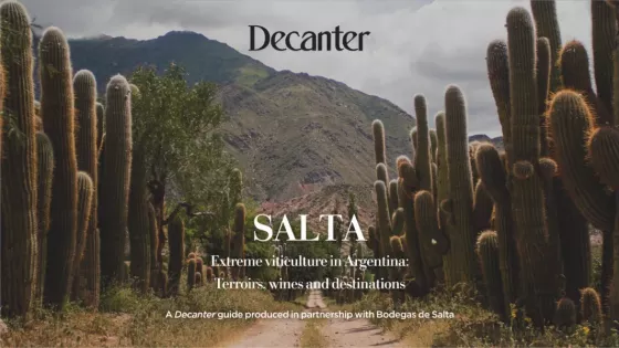 99923-los-vinos-de-altura-de-salta-son-puestos-en-valor-por-la-famosa-revista-especializada-decanter