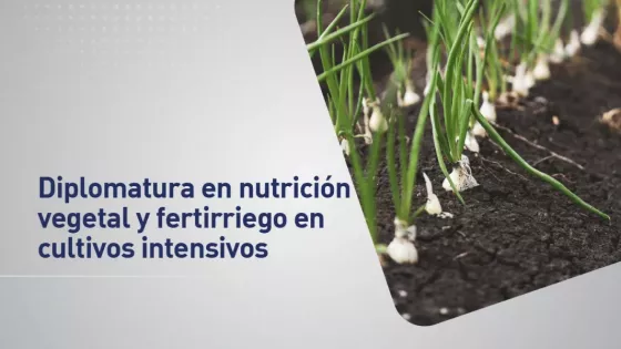 100793-promueven-formacion-en-nutricion-vegetal-y-fertirriego-en-cultivos-intensivos