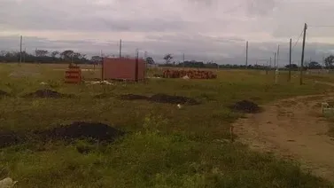 WhatsApp Image 2024-10-02 at 07.16.09