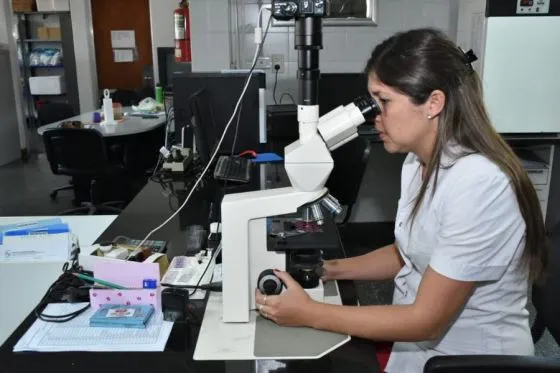 92533-informe-de-la-direccion-ge