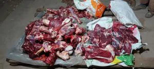 Imagen-de-WhatsApp-2024-09-17-a-las-09.18.32_2b22f0be-300x135