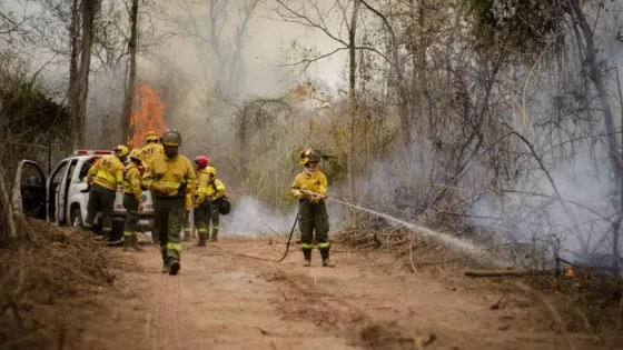 104279-amplio-operativo-de-defensa-civil-para-el-sofocamiento-de-incendios-de-pastizales-en-el-norte-provincial