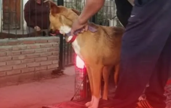 multimedia.miniatura.b1fa48e90ff73d54.bWluaWF0dXJhLndlYnA=