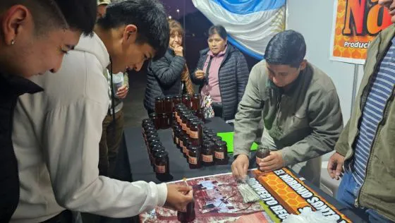 96129-miles-de-saltenios-apreciaron-el-arte-originario-en-la-feria-potencia