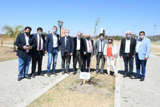 plantaron arboles
