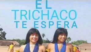 descarga (1)