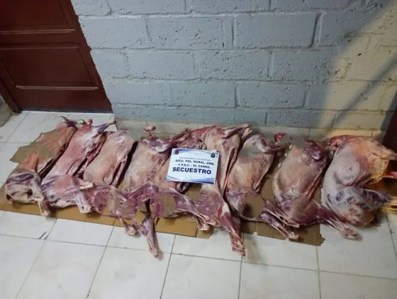 CARNE-NO-APTA-2-558x420