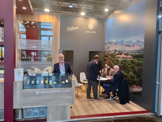 94597-salta-busca-nuevos-mercados-internacionales-para-sus-vinos-de-altura-20240312192112