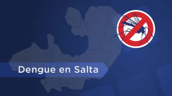 95107-en-la-ultima-semana-se-notificaron-mas-de-1900-casos-de-dengue-en-salta-20240416133650