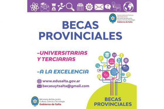 75393-inicia-la-inscripcion-para-acceder-a-las-becas-provinciales