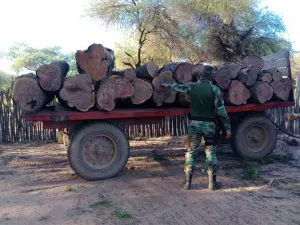 WhatsApp-Image-2024-12-14-at-8.17.07-PM-300x225